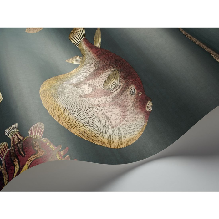 Cole & Son The New Fornasetti Collection Non Woven Ταπετσαρία Τοίχου