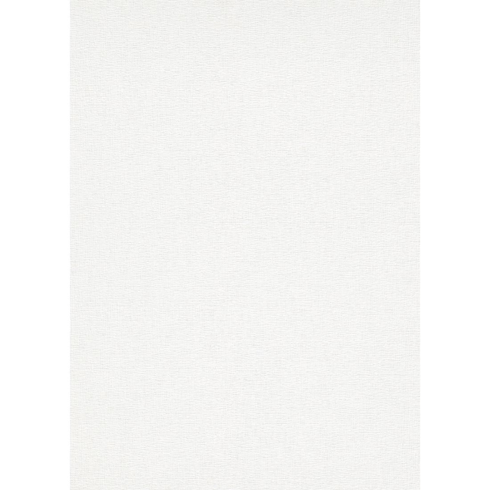 Wallpaper Paintable Rollover24 by Erismann