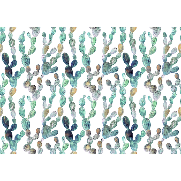 Φωτοταπετσαρία Κάκτος Consalnet - Studio360 13029VE