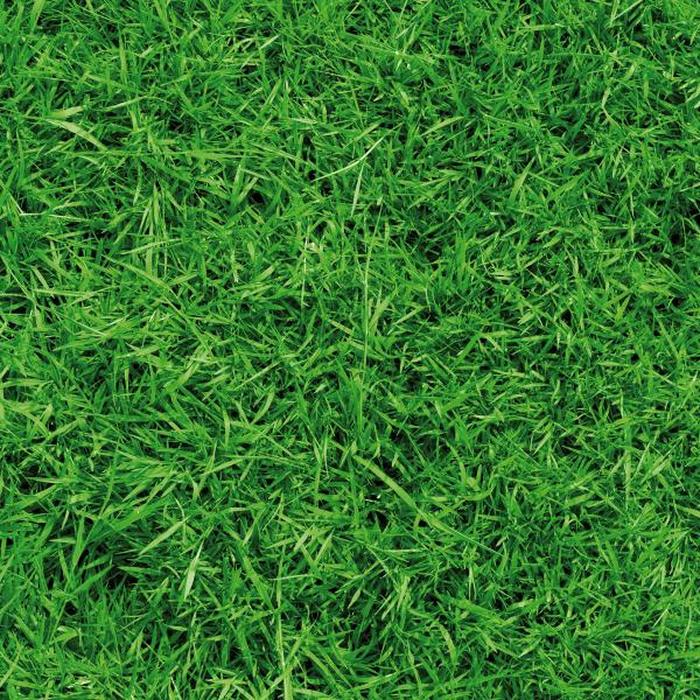 Ψηφιακή Εκτύπωση σε Καμβά 100Χ100 , All Around Deco