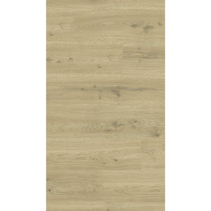 Laminate Woodstock Pro 833  Comfort-Oak All Around Deco