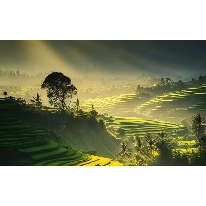 Φωτοταπετσαρία Τοίχου Εξωτικό Τοπίο, Erismann Zooom