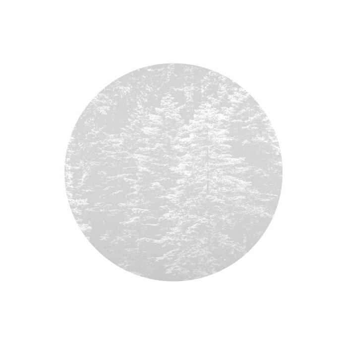 Erismann Fashion for Walls 4 Φωτοταπετσαρία Τοίχου