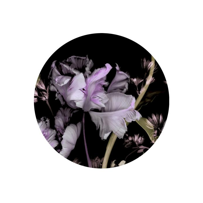 Erismann Fashion for Walls 4 Φωτοταπετσαρία Τοίχου