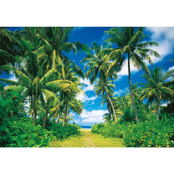 Φωτοταπετσαρία Τοίχου Φύση Αll Around Deco Studio360