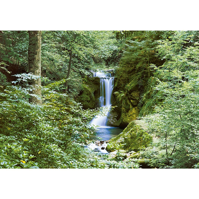 Φωτοταπετσαρία Τοίχου Φύση Αll Around Deco Studio360