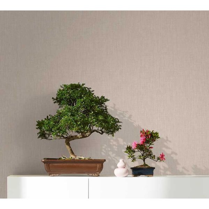 Ταπετσαρία Τοίχου Botanica ,  Marburg