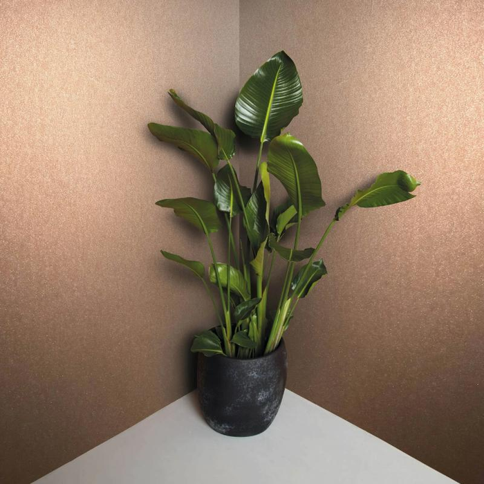 Ταπετσαρία Τοίχου Eclectic , All Around Deco