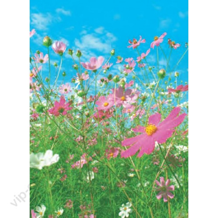 Φωτοταπετσαρία Τοίχου Αll Around Deco Studio360