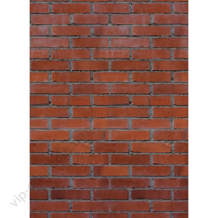 Φωτοταπετσαρία Τοίχου Φύση Αll Around Deco Studio360