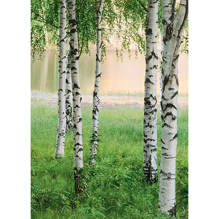 Φωτοταπετσαρία Τοίχου Φύση Αll Around Deco Studio360