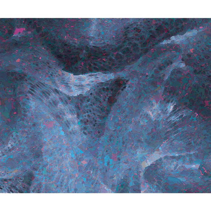 YoYo Designs MixMix II Non Woven Digital Print