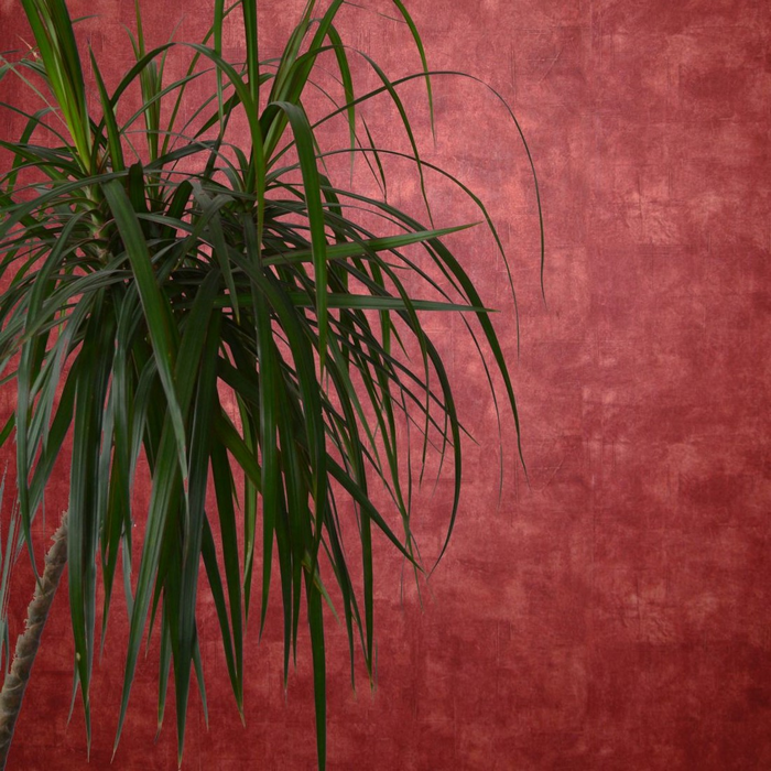 Ταπετσαρία Τοίχου Τσιμέντο, All Around Deco Studio 360 41861