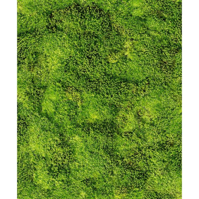 Ταπετσαρία Τοίχου Struktura , All Around Deco