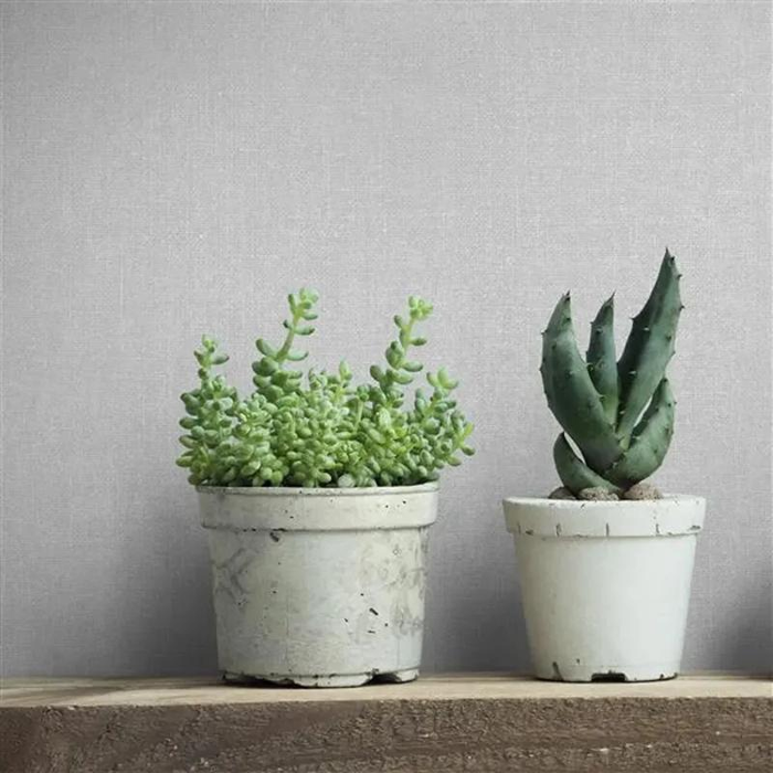 Wallcovering Struktura , All Around Deco