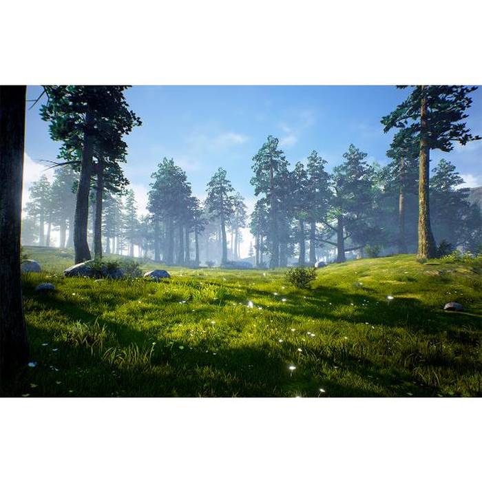 Ψηφιακή Εκτύπωση σε Καμβά 95Χ65 , All Around Deco