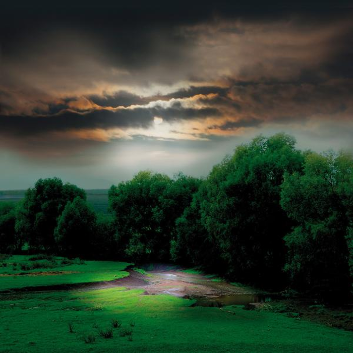 Ψηφιακή Εκτύπωση σε Καμβά 100Χ100 , All Around Deco