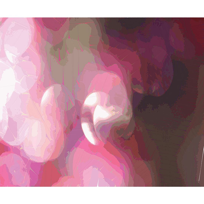 YoYo Designs MixMix II Non Woven Ψηφιακή Εκτύπωση