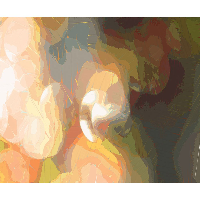 YoYo Designs MixMix II Non Woven Digital Print