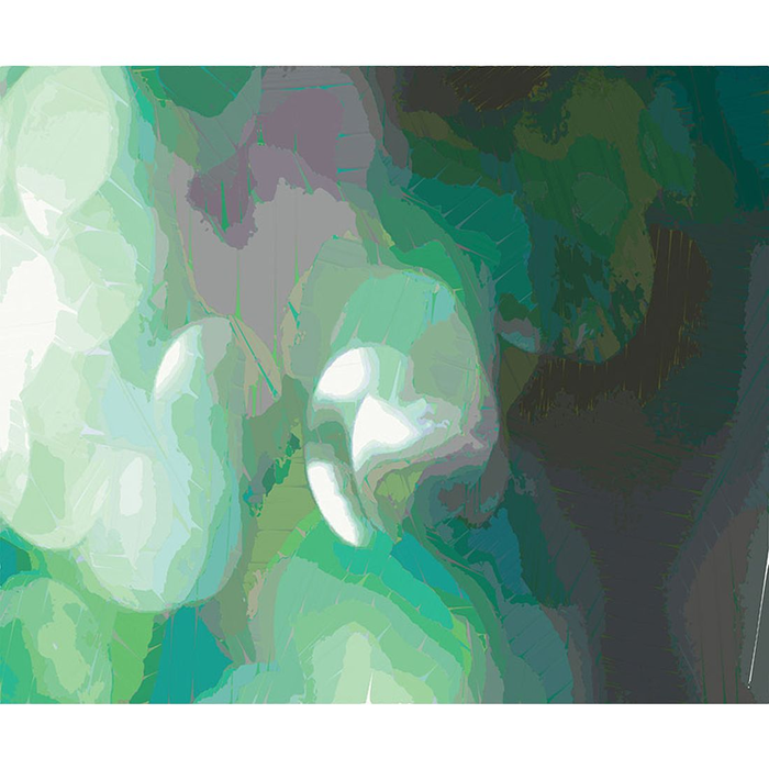 YoYo Designs MixMix II Non Woven Digital Print