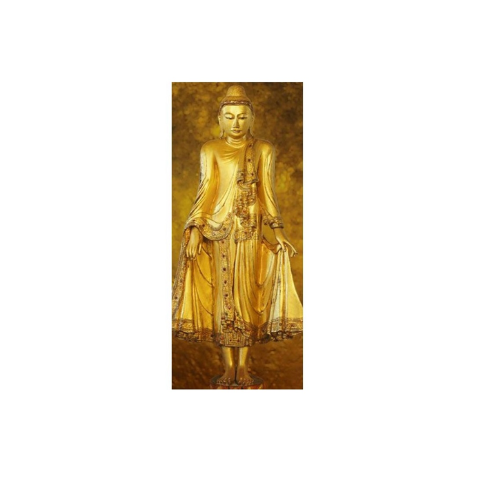 Φωτοταπετσαρία Τοίχου Φύση Αll Around Deco Studio360-501