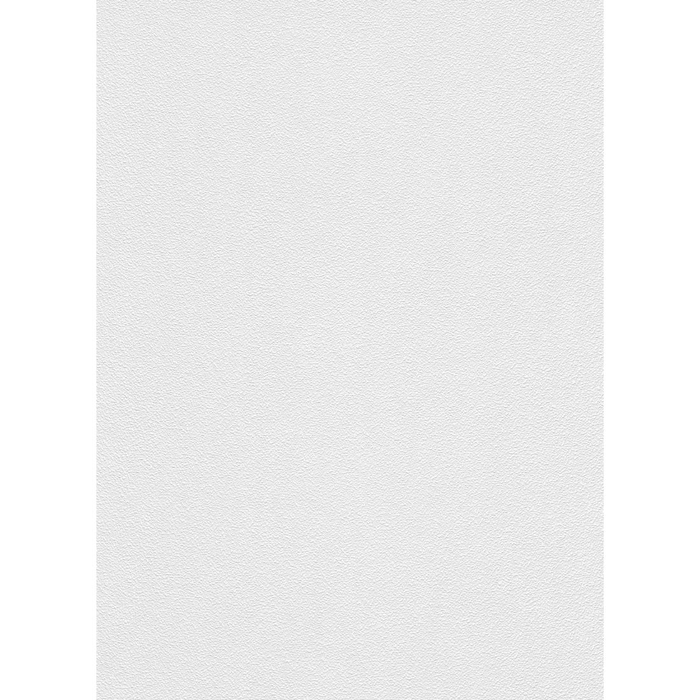 Wallpaper Paintable Rollover24 by Erismann