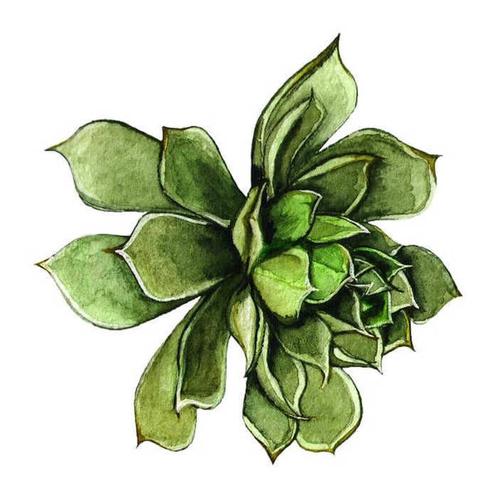 Ψηφιακή Εκτύπωση σε Καμβά 100Χ100 , All Around Deco