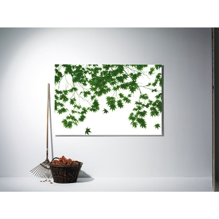 Φωτοταπετσαρία Τοίχου Φύση-Φύλλα Αll Around Deco Studio360-669