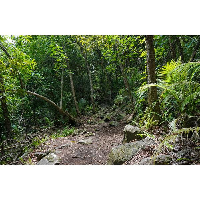 Ψηφιακή Εκτύπωση σε Καμβά 95Χ65 , All Around Deco