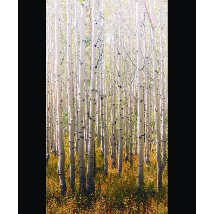 Digital Print 1,59Μx2,80M Orom II Grandeco