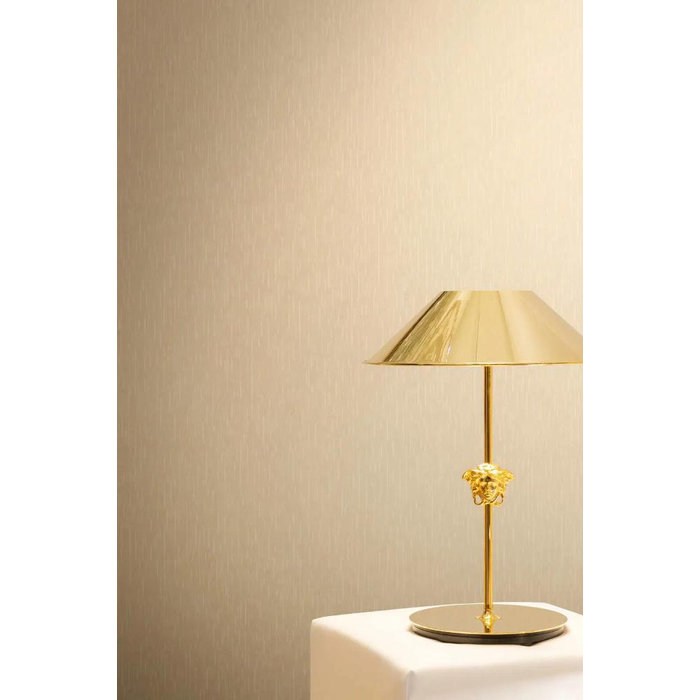 Wallcovering Versace 6 By AS Creation