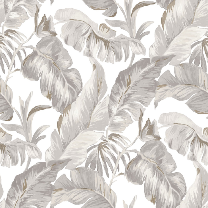 Wallpaper Parato, Amazonia