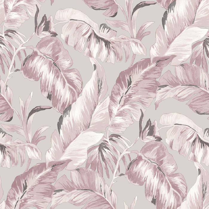 Wallpaper Parato, Amazonia