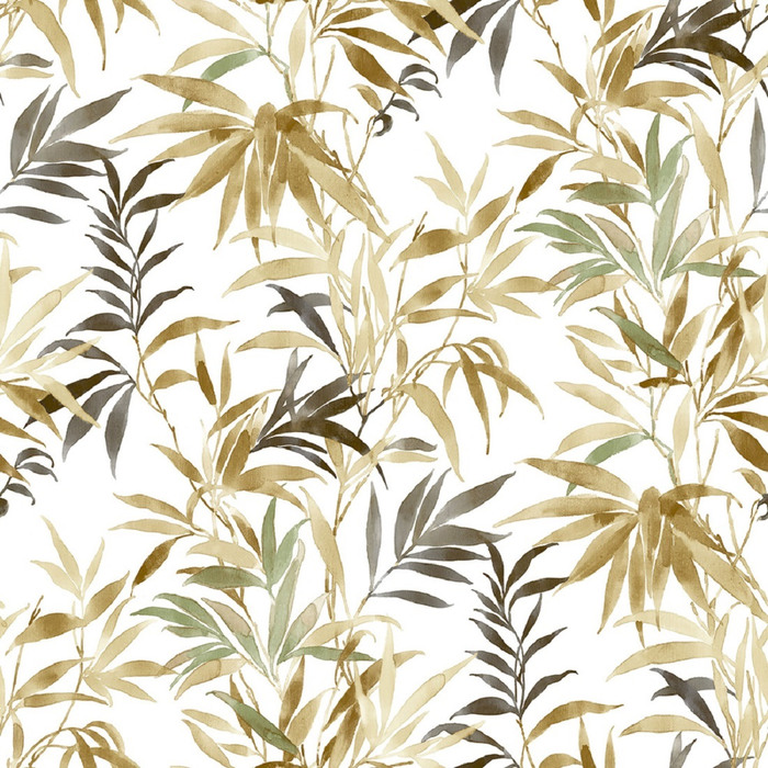 Wallpaper Parato, Amazonia