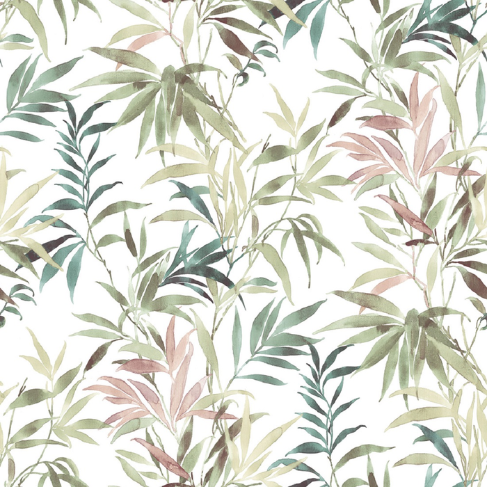 Wallpaper Parato, Amazonia