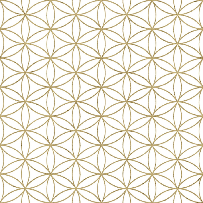 Wallpaper Parato, Amazonia