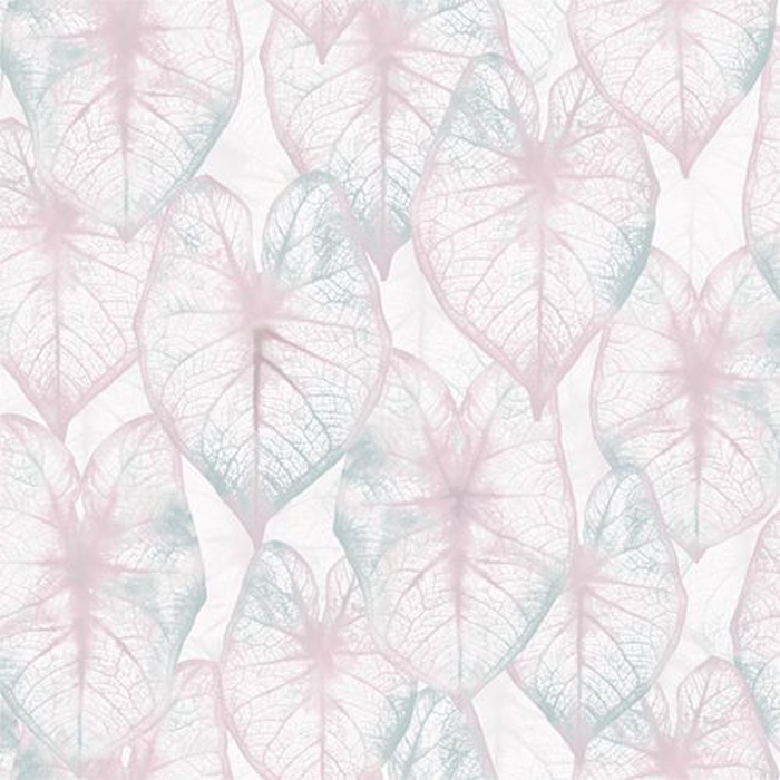 Wallpaper Leaves, All Around Deco Amazonia ﾖ Studio360 AM2933