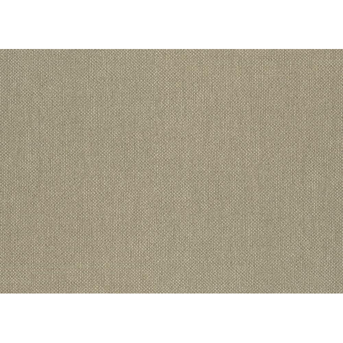 Ταπετσαρία Τοίχου J&V Amazzonia