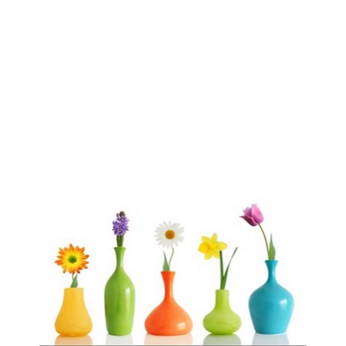 Digital Print Roller Blinds Kitchen , All Around Deco