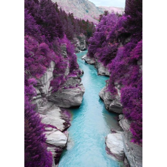 Digital Print Roller Blinds Nature, All Around Deco