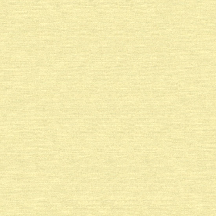 Wallpaper AS Creation, Trendwall 2 053X10.05M