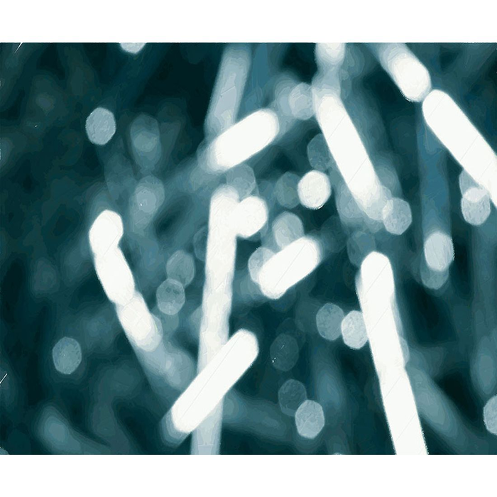 YoYo Designs MixMix II Non Woven Digital Print