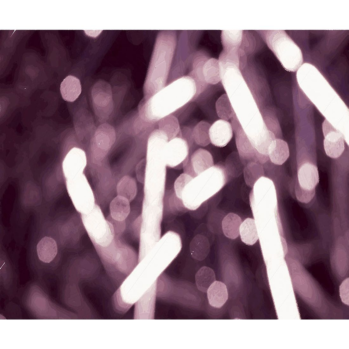 YoYo Designs MixMix II Non Woven Digital Print