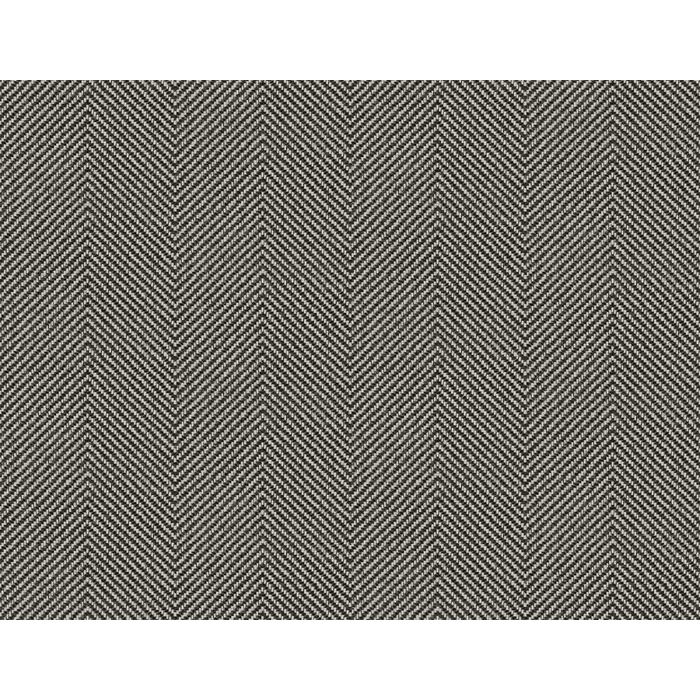 Wallcovering Carl Robinson-Edition 24 , KT Exclusive
