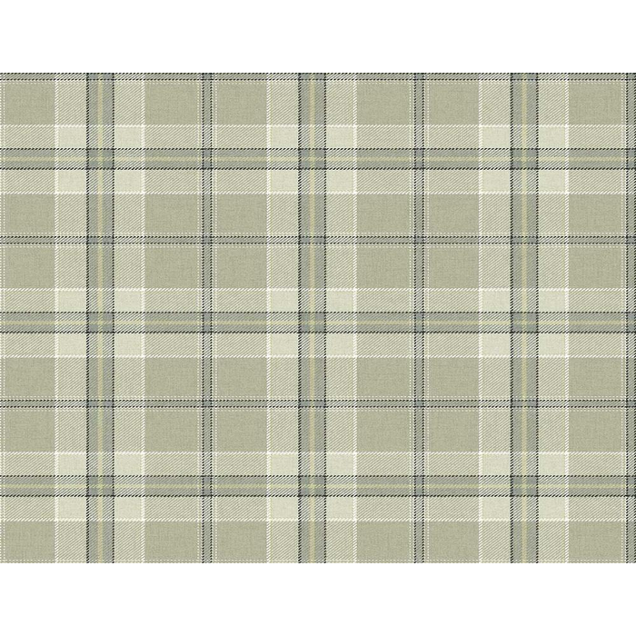 Wallcovering Carl Robinson-Edition 24 , KT Exclusive