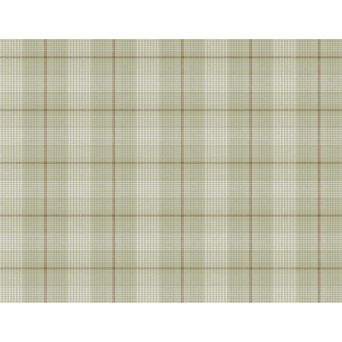Wallcovering Carl Robinson-Edition 24 , KT Exclusive