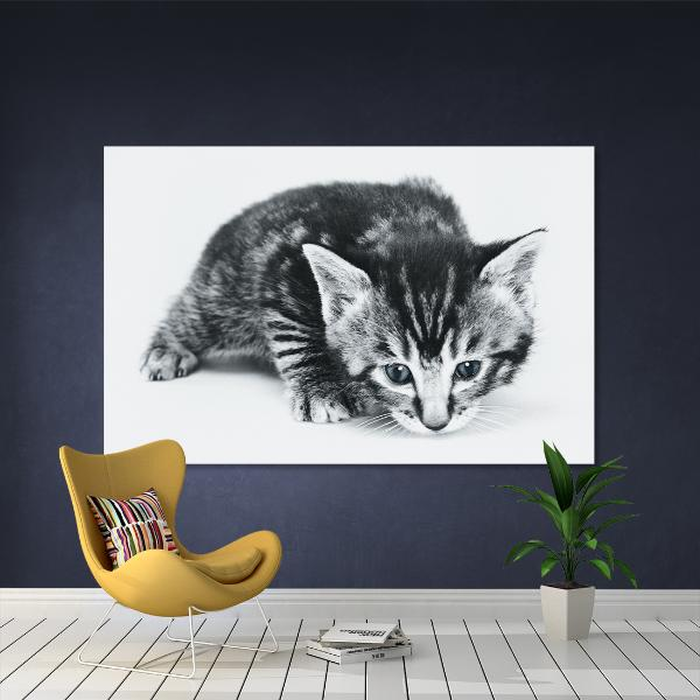 Ψηφιακή Εκτύπωση σε Καμβά 95Χ65 , All Around Deco