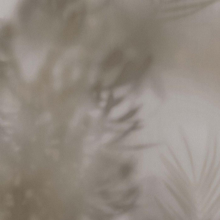 Ταπετσαρία Τοίχου Φύση, BN Dimensions - Studio360 DM219547