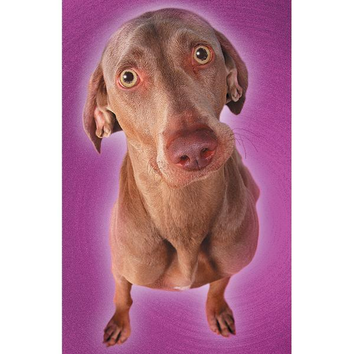 Ψηφιακή Εκτύπωση σε Καμβά 30X40, All round Deco