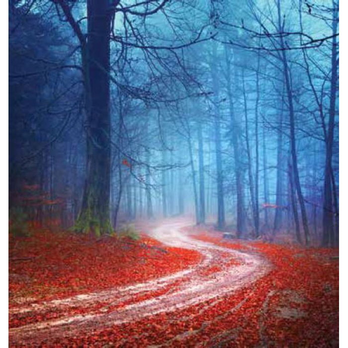 Digital Print Roller Blinds Nature, All Around Deco